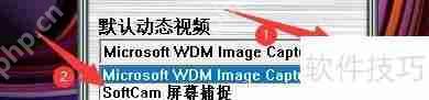 如何设置虚拟摄像头默认动态视频类型