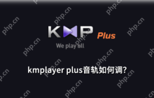 kmplayer plus播放器音轨如何设置?kmplayer plus音轨设置的方法