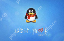 QQ缓存数据怎么清除