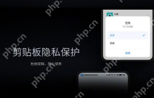 以下关于魅族18系列旗舰手机剪贴板权限的说法中，正确的