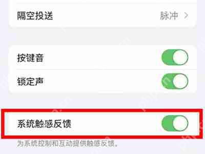 iphone12键盘震动怎么开