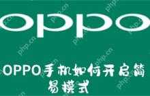 OPPO手机如何开启简易模式