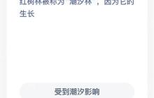支付宝神奇海洋12.9日答案一览