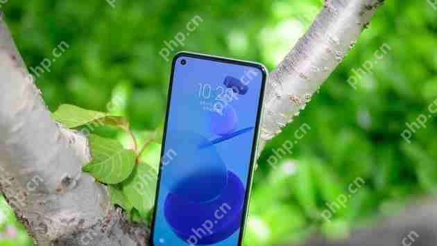 小米11青春版手机指纹解锁方式是什么