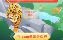 支付宝东宁保护地怎么领