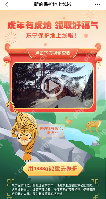 支付宝东宁保护地怎么领