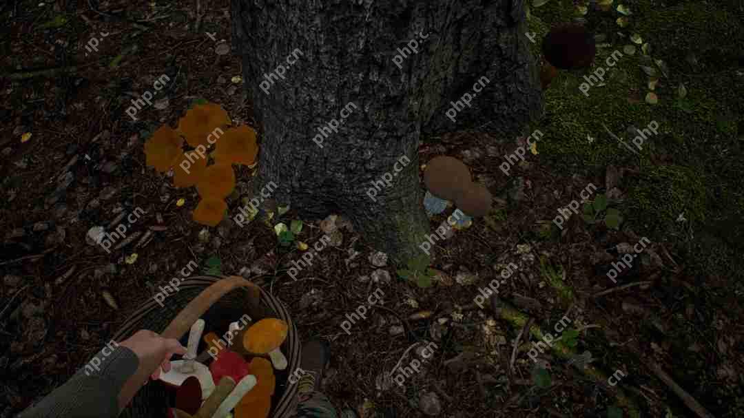 采蘑菇模拟游戏《蘑菇猎人模拟器》上架Steam Q3发售