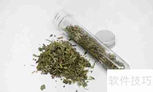 猫薄荷对猫咪的影响与作用