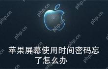 苹果屏幕使用时间密码忘了怎么办
