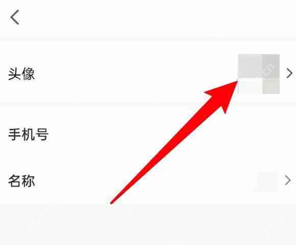 腾讯会议默认头像怎么恢复？腾讯会议默认头像恢复方法
