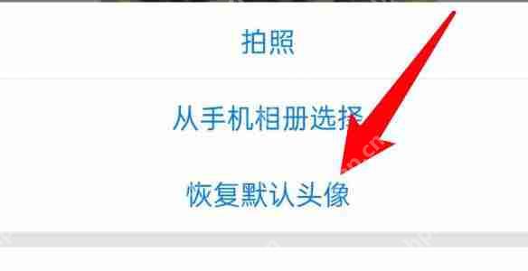 腾讯会议默认头像怎么恢复？腾讯会议默认头像恢复方法