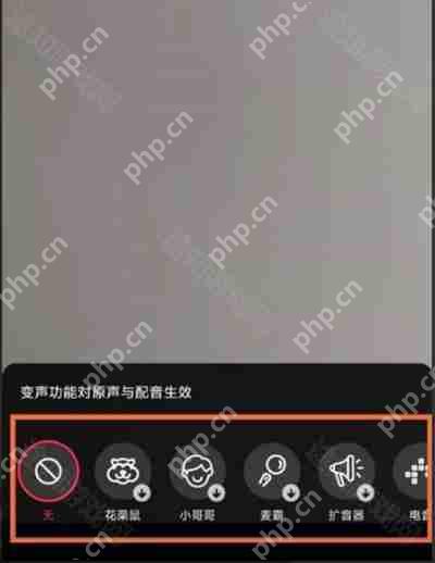《抖音》短视频变声设置方法