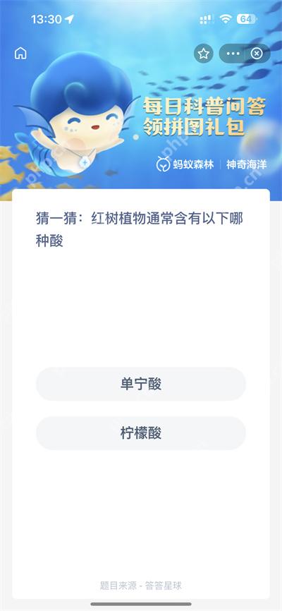 支付宝神奇海洋12.4日答案是什么