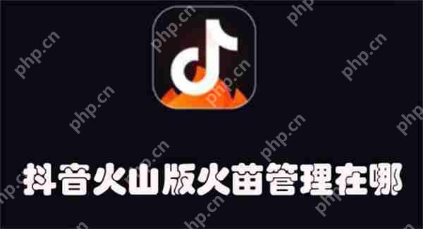 抖音火山版火苗管理在哪