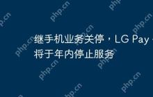 继手机业务关停，LG Pay 也将于年内停止服务