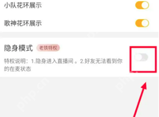 伊对隐身模式如何设置