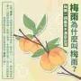 梅雨的梅是什么含义