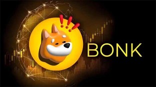 Bonk 币价格预测：BONK 能涨到 1 美元吗？