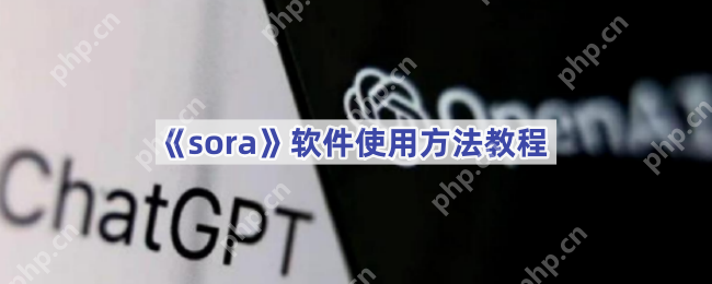 《sora》软件使用方法教程