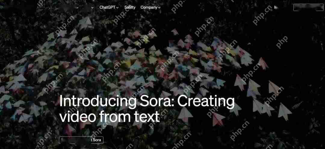 《sora》软件使用方法教程