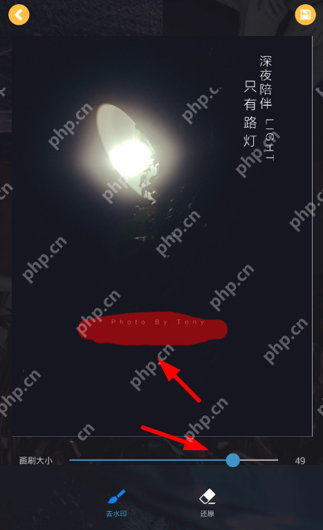 去水印大师怎么用？ 去水印大师使用方法详解 - php中文网