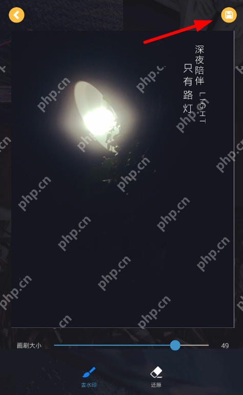 去水印大师怎么用？ 去水印大师使用方法详解 - php中文网