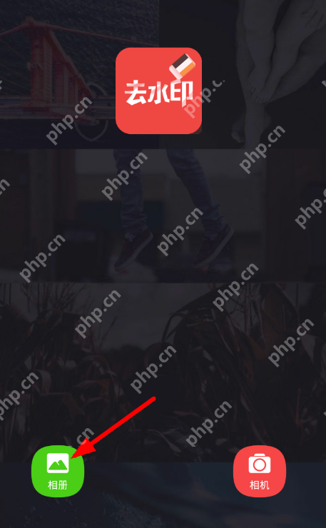 去水印大师怎么用？ 去水印大师使用方法详解 - php中文网