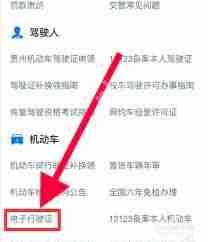 如何申请支付宝电子驾驶证