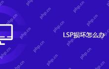 LSP损坏怎么办