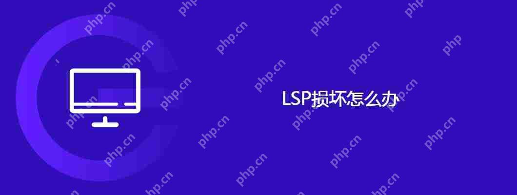 LSP损坏怎么办-小浪学习网