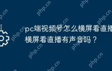 pc端视频号怎么横屏看直播？横屏看直播有声音吗？