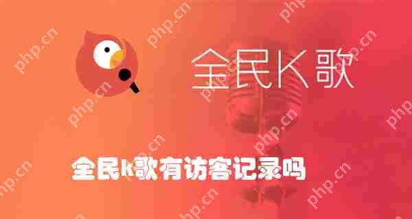 全民k歌有访客记录吗