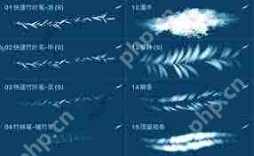 painter柳叶笔在哪里