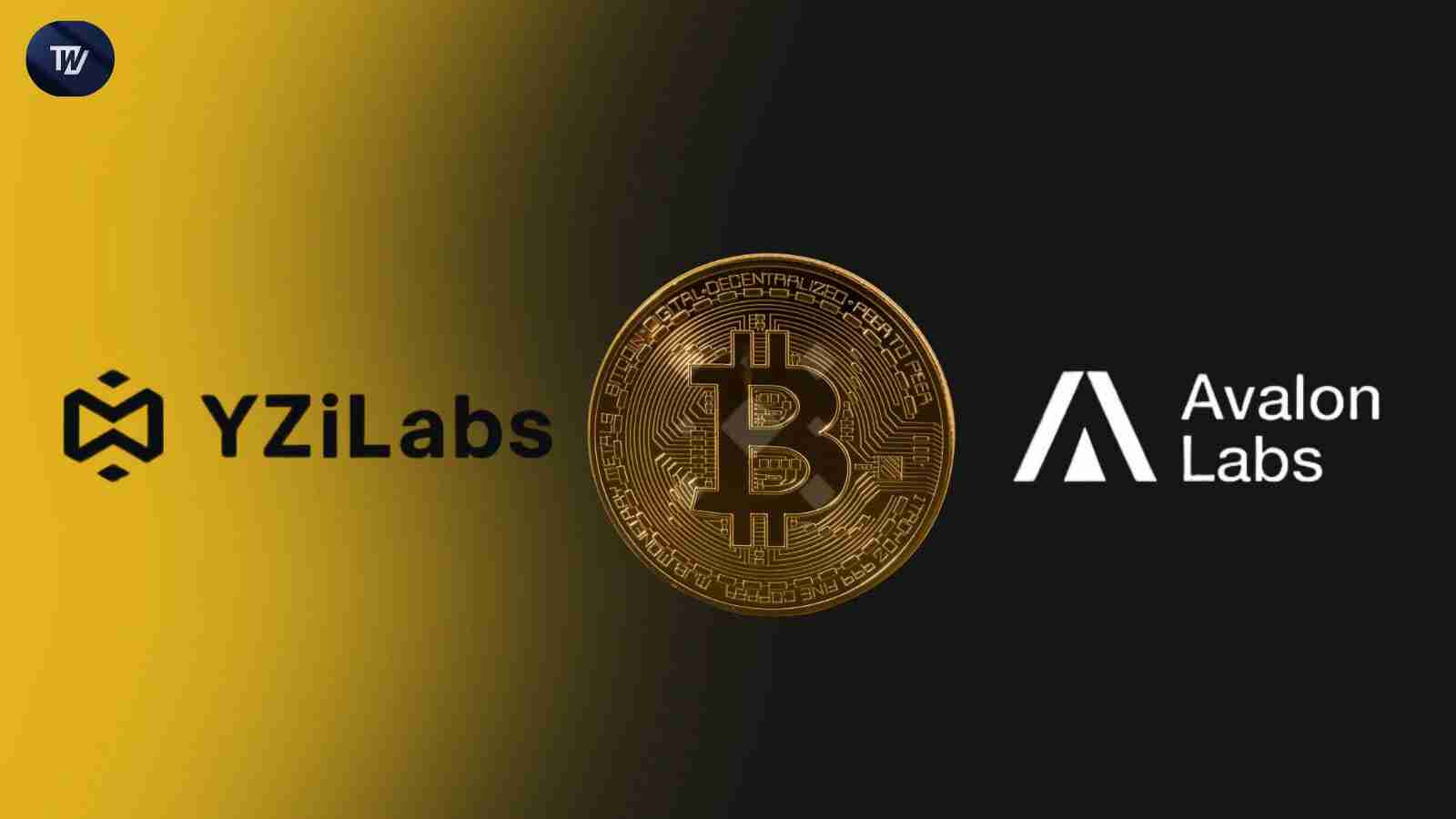 Yzi Labs投资于比特币 - 前肃除布的财务（DEFI）公司Avalon Labs