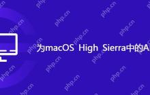 为macOS High Sierra中的 APFS 做好准备