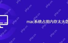 mac系统占用内存太大怎么办