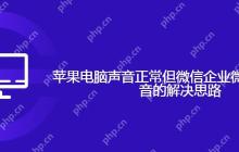 苹果电脑声音正常但微信企业微信QQ无声音的解决思路