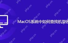 MacOS系统中如何查找机型名称和序列号