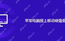苹果电脑接上移动硬盘显示报错