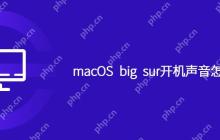 macOS big sur开机声音怎么关闭