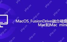 MacOS_FusionDrive融合硬盘合区 适用于iMac和Mac mini