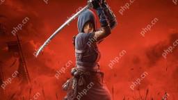 不喜欢尼 《刺客信条：影》能买吗？