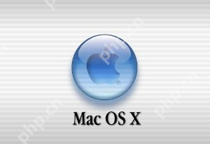 mac系统有必要保持最新吗