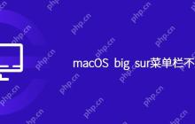 macOS big sur菜单栏不显示WiFi
