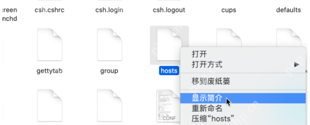 蘋果電腦hosts文件已鎖定無法修改怎么辦
