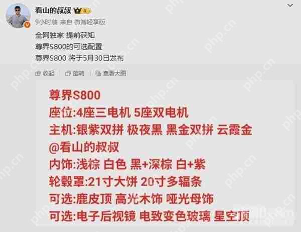 尊界S800选装配置曝光：四座版、电子后视镜、星空顶…