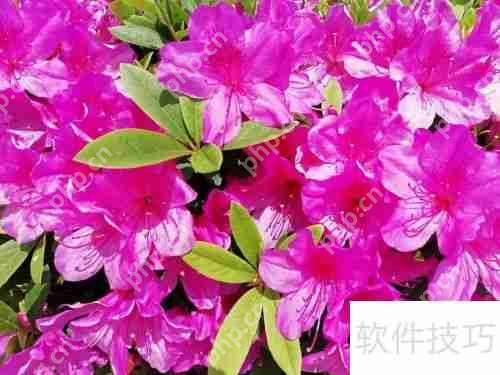 赫连皇甫尉迟公羊：五笔拼音编码解析