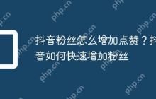抖音粉丝怎么增加点赞？抖音如何快速增加粉丝
