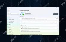 部分 Win11 设备卡在 26040/23620 预览版无法升级：重新装机解决