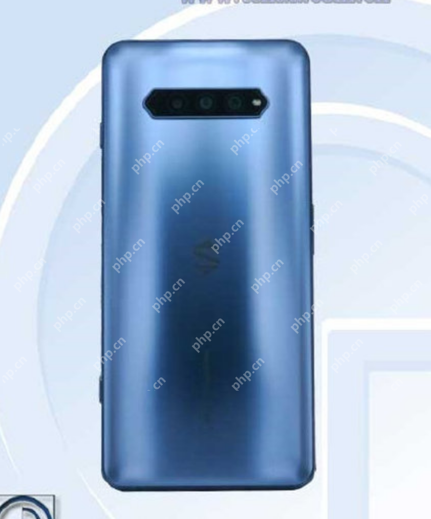黑鲨4代什么时候出
